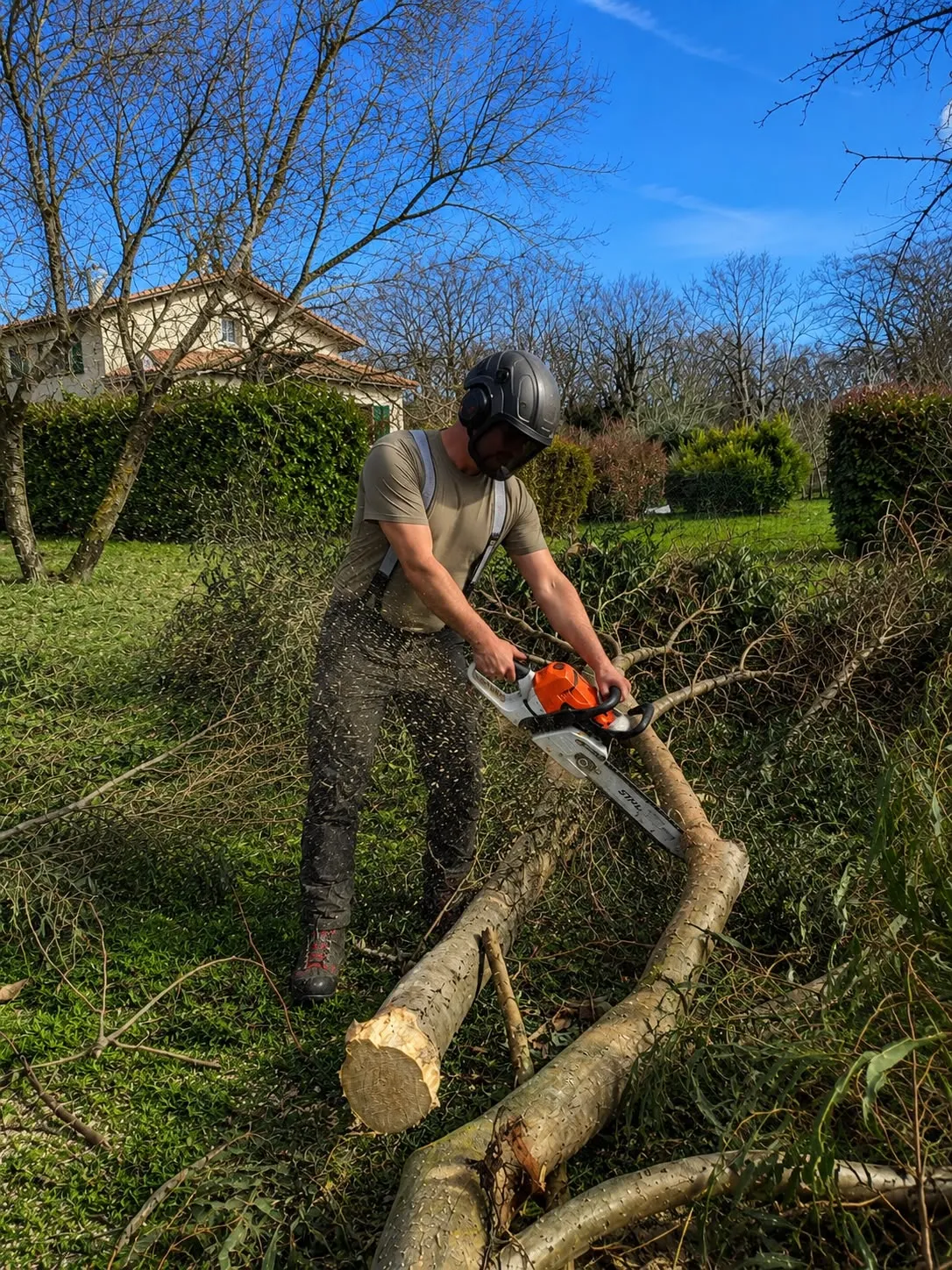 Réalisation ArTboriste Élagage